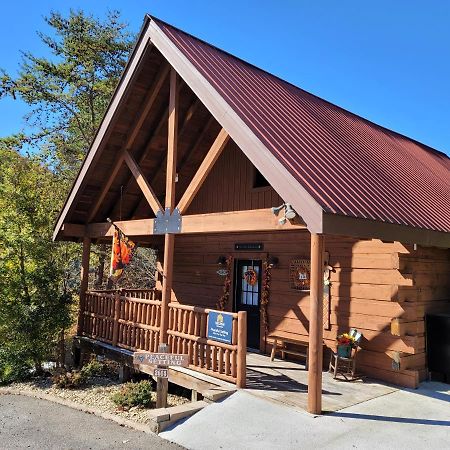 Peaceful Setting Cabin Willa Pigeon Forge Zewnętrze zdjęcie